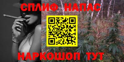 шишки Бузулук